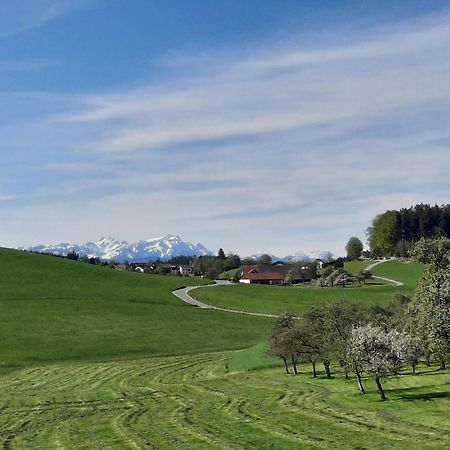 Ferienwohnung Pusteblume Neukirch  Exteriér fotografie