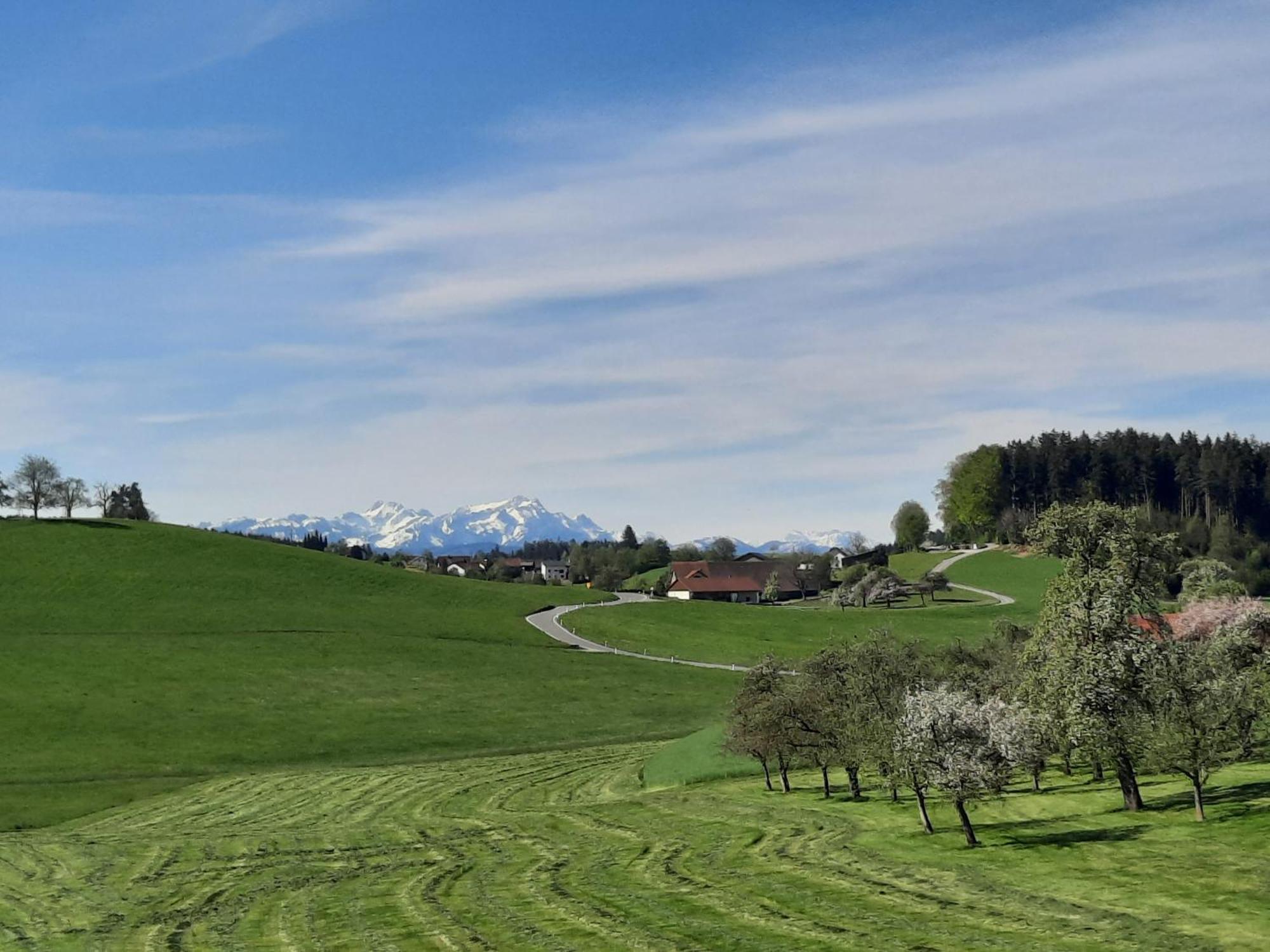 Ferienwohnung Pusteblume Neukirch  Exteriér fotografie